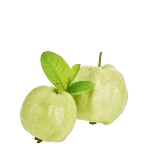 Guava