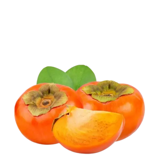 persimmon