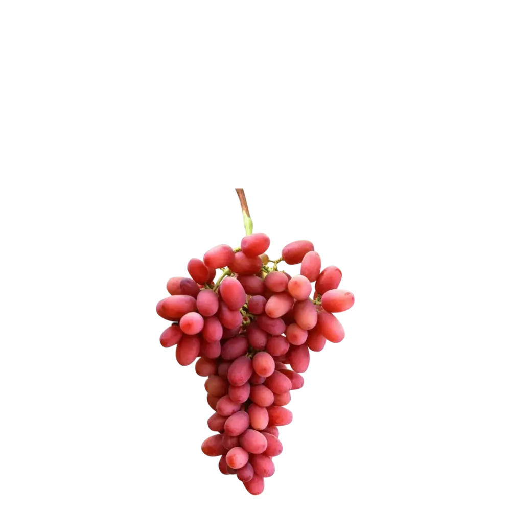 Crimson Seedless Grapes