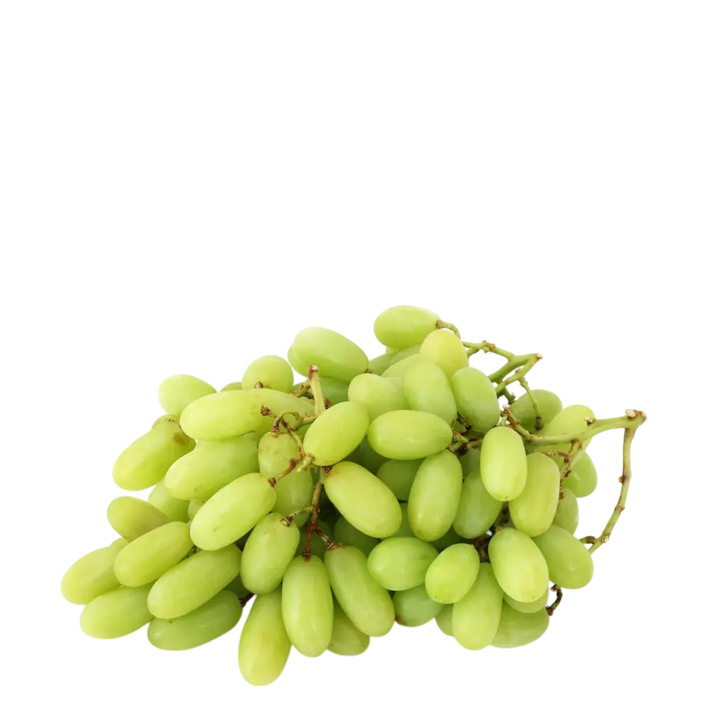 Green Seedless Grapes