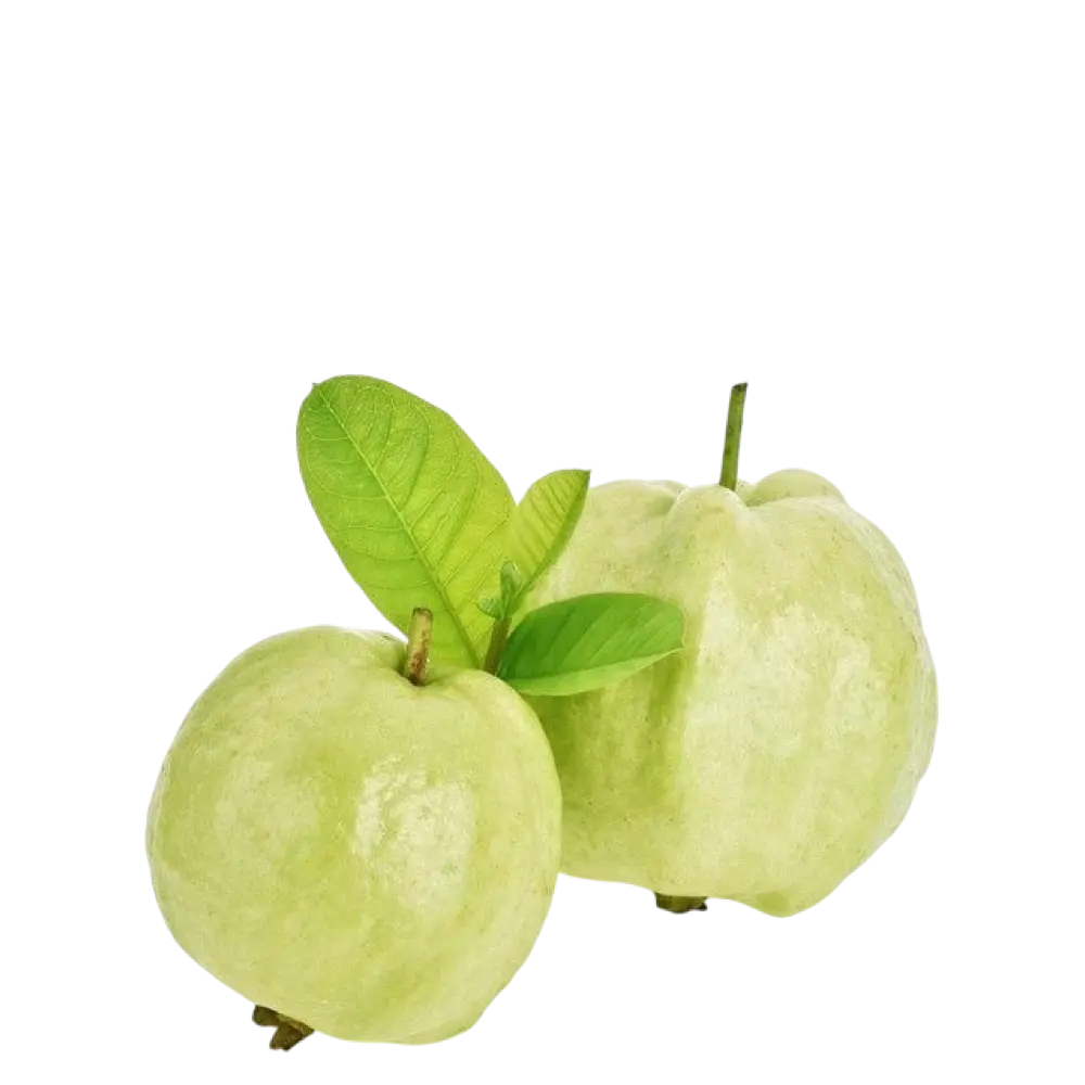 Guava