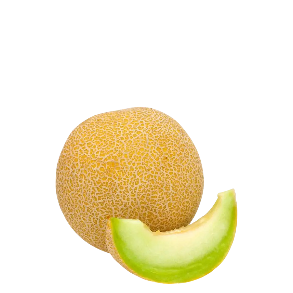 Musk Melon