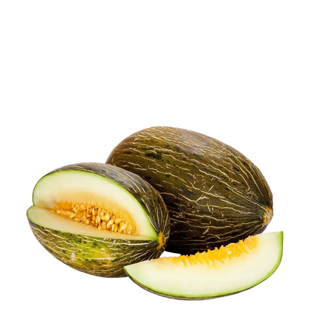 santa claus melon