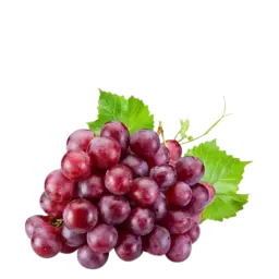 Grapes 1